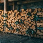Grande pile de bois de chauffage fendu, avec quelques branches de laurier vert, empilée dans un abri sombre.